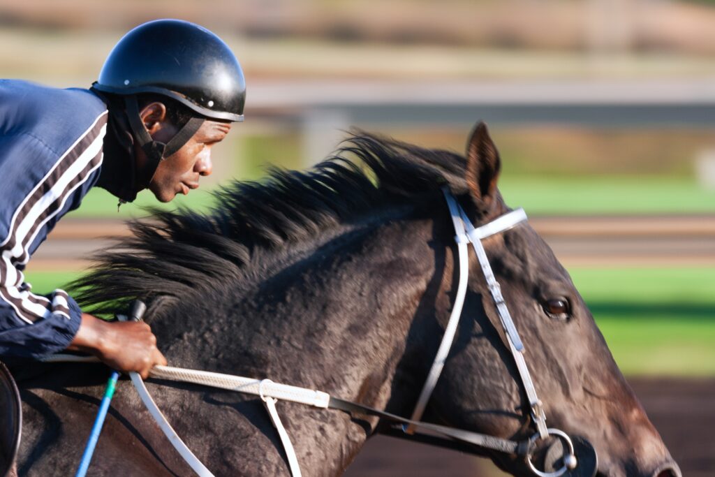 Evolution of Horse Racing - A Beginner's Guide to Horse Racing and Betting Related Terms - Translation Royale