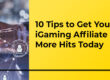 10 Tips to Get Your iGaming Affiliate Blog More Hits Today - Translation Royale